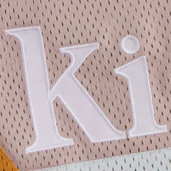 Online Kith Mesh Turbo Shorts Glisten