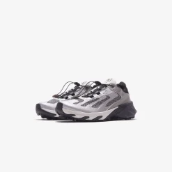 Best Salomon Speedverse Prg Silver / Frost Gray / Lunar Rock