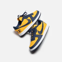 Sale Nike Terminator Low University Gold / Navy / White