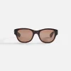 Cheap Garrett Leight X John Terzian Tortue Terz / Brown