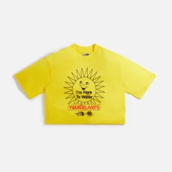 Fashion The North Face X Online Ceramics Wmns Cropped Tee Lightning Yellow
