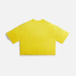 Fashion The North Face X Online Ceramics Wmns Cropped Tee Lightning Yellow