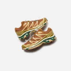 Fashion Salomon Xt-6 Rubber / Lizard / Eden