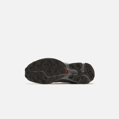 Cheap Salomon Xt-6 Moonscape / Plum Kitten / Gull